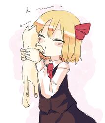 rumia from touhou by yunuki uta
