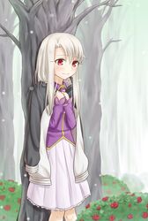 illyasviel von einzbern from fate/stay night