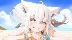 shirakami fubuki from hololive by hyde (tabakko)