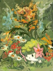 shaymin from pokemon