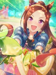 sakura bakushin o (umamusume) from umamusume