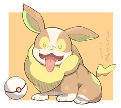 yamper from pokemon