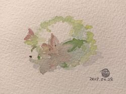 shaymin from game freak by chikaoka sunao