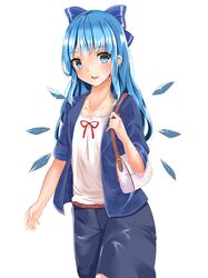 cirno from touhou by fujiko (emnprmn)