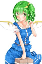 daiyousei from touhou by fujiko (emnprmn)