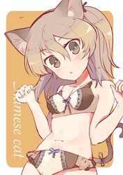shimada arisu from girls und panzer