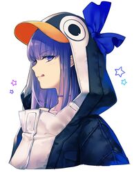 meltryllis from fate/extra