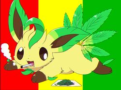 leafeon from pokemon by kemoribon