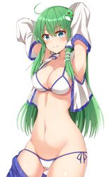 kochiya sanae from touhou