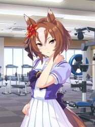yaeno muteki (umamusume) from umamusume