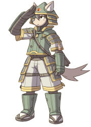 solatorobo fan art