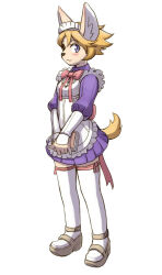 solatorobo fan art