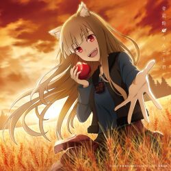 holo from spice and wolf