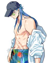 cu chulainn (fate) from fate/grand order by namo