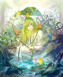 fate/grand order fan art