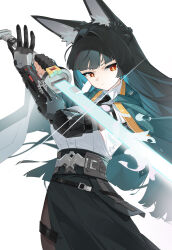 hoshimi miyabi from zenless zone zero