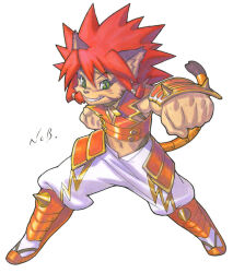 solatorobo fan art
