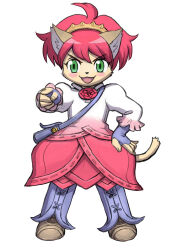 solatorobo fan art