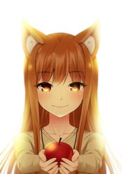 holo from spice and wolf