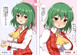 kazami yuuka from touhou by guard bento atsushi