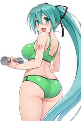 hatsune miku from vocaloid by hormone koijirou