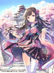 sengoku taisen fan art