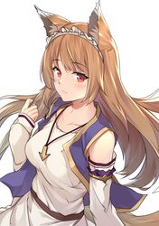 holo from spice and wolf