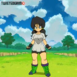 videl from dragon ball by twistedgrim
