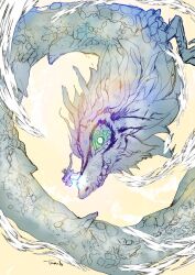 light dragon (zelda) from the legend of zelda