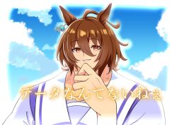agnes tachyon (umamusume) from umamusume