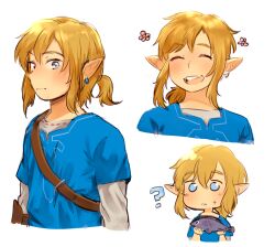 link from the legend of zelda by chadolbaegi