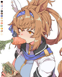 umamusume fan art