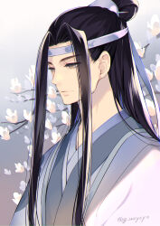 lan wangji from modao zushi by gin (oyoyo)
