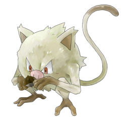 mankey from pokemon by satou mami