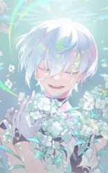 noah ebalon from elsword