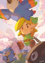 link from the legend of zelda by shopp