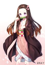 kamado nezuko from kimetsu no yaiba