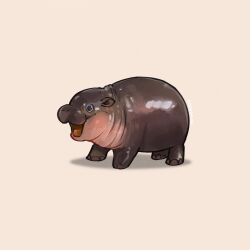 moo deng from original