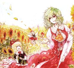 kazami yuuka from touhou by chihiro (kemonomichi)