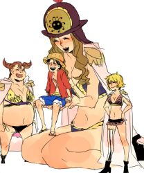 aphelandra from one piece by jump (ah0029)