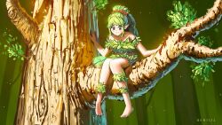 dryad (terraria) from terraria