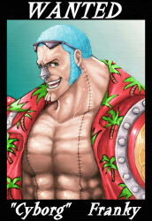 franky (one piece) from one piece by reon-1