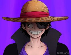 one piece fan art