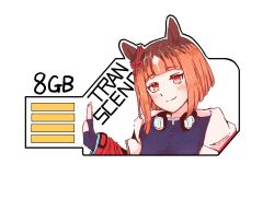 transcend (umamusume) from umamusume