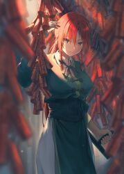 hong meiling from touhou
