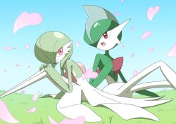 gallade from pokemon