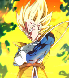 vegeta from dragon ball by rom (20)