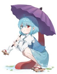 tatara kogasa from touhou