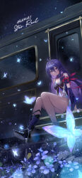 seele (honkai: star rail) from honkai: star rail