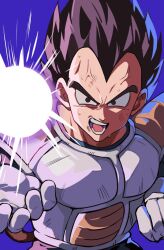 vegeta from dragon ball